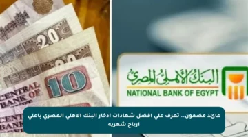 عائد مضمون.. تعرف على أفضل شهادات ادخار البنك الأهلي المصري بأعلى أرباح شهرية